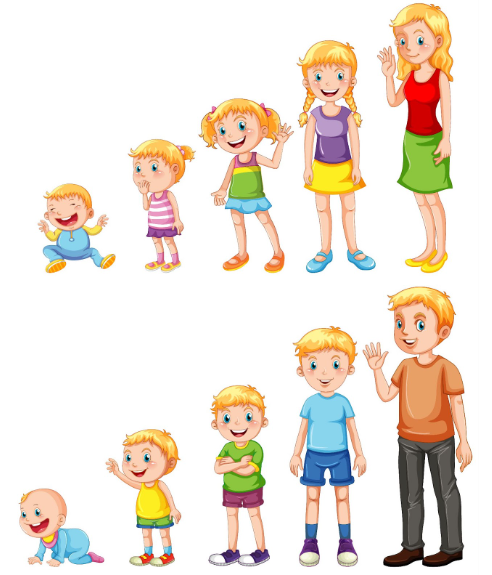 مراحل نمو الطفل حسب العمر